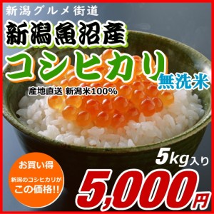 コシヒカリ 魚沼産 無洗米 5000円分（5キロ） 新米 新潟米 お米 新潟産 産地直送 米 コメ お歳暮 自宅用 ギフト 贈答 贈り物