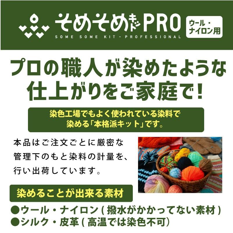 キット 染め メール便のみ ラベンダー色 染料 そめそめキットPro ウール・ナイロン用 Mサイズ 染め粉 色止め剤付 プロ仕様 紫色 パープル M-015