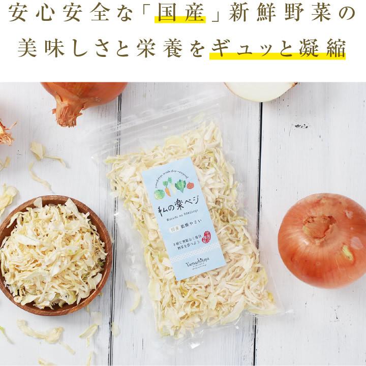 乾燥玉ねぎ (70g約700g分) タマネギ  国産タマネギ 玉ねぎ 国産 乾燥野菜 ドライ野菜 干し野菜 保存食 サラダ スープ 無添加 常備菜 簡単 オニオンスープ お歳暮