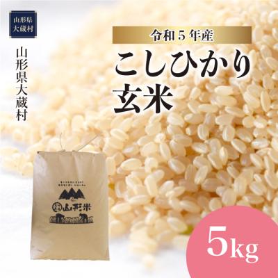 ふるさと納税 大蔵村  大蔵村 コシヒカリ  5kg