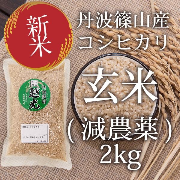 玄米 お米 新米 玄米(減農薬)コシヒカリ(2kg) 令和2年度産 完全栄養食 2kg