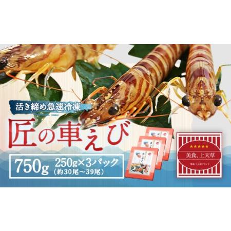 ふるさと納税  匠の車えび 250g-3パック(30尾〜39尾) 熊本県上天草市