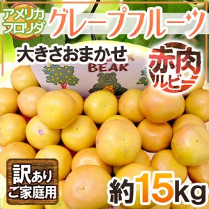 フロリダ産 ”グレープフルーツ ルビー” 訳あり 約15kg 大きさおまかせ 送料無料