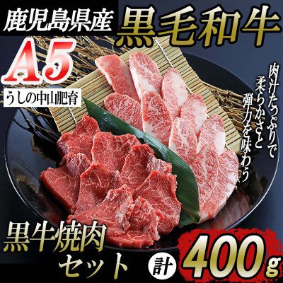 ふるさと納税 志布志市 鹿児島県産黒毛和牛A5ランク焼肉セット400g