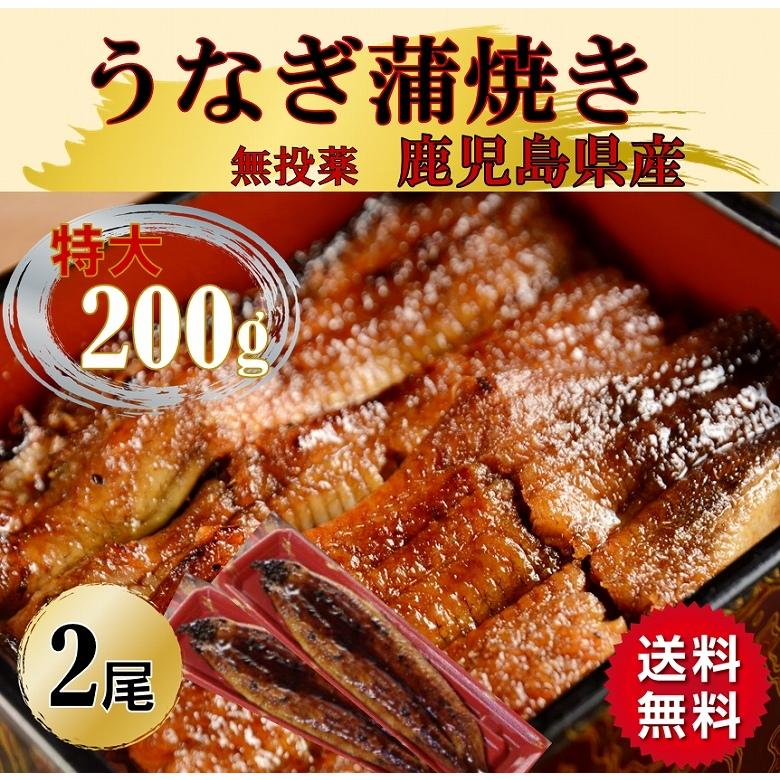 敬老の日 ウナギ うなぎ 鰻蒲焼き 国産 うなぎ蒲焼 特大 200ｇ 2尾 ギフト 丑の日 父の日 うな重 うな丼 ひつまぶし