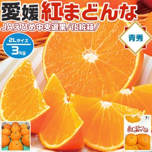 みかん 紅まどんな JAえひめ中央 青秀 2Lサイズ 3kg 贈答用・化粧箱 1箱 完熟 愛媛県産 JA正規品・柑橘 …