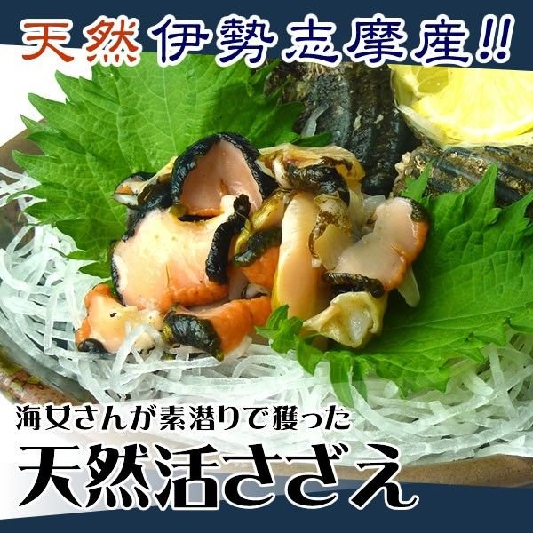 活サザエ（中）　1個　海鮮BBQなどに　　[魚介類]