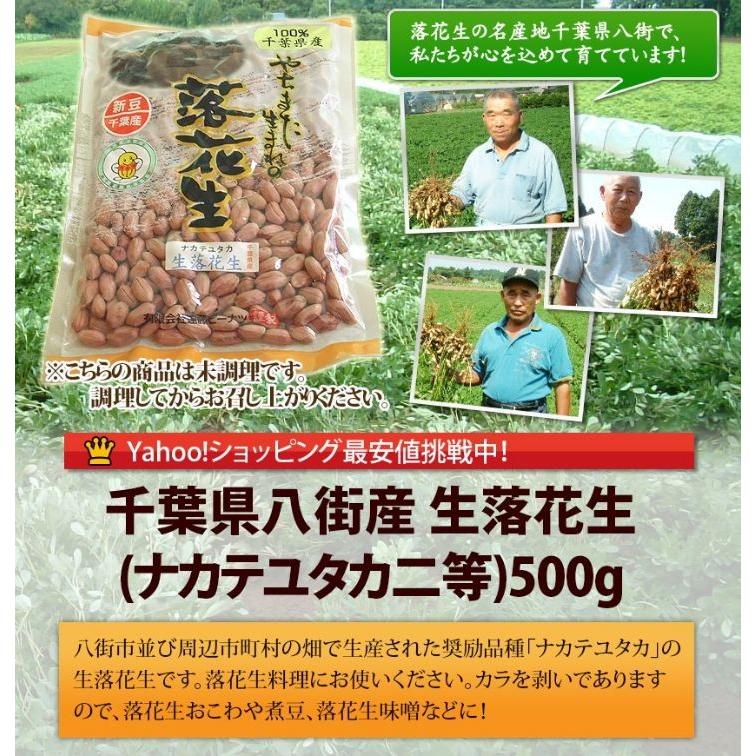 2023年度産 新豆 未調理なま落花生(ナカテユタカ)二等500g 千葉県八街産落花生