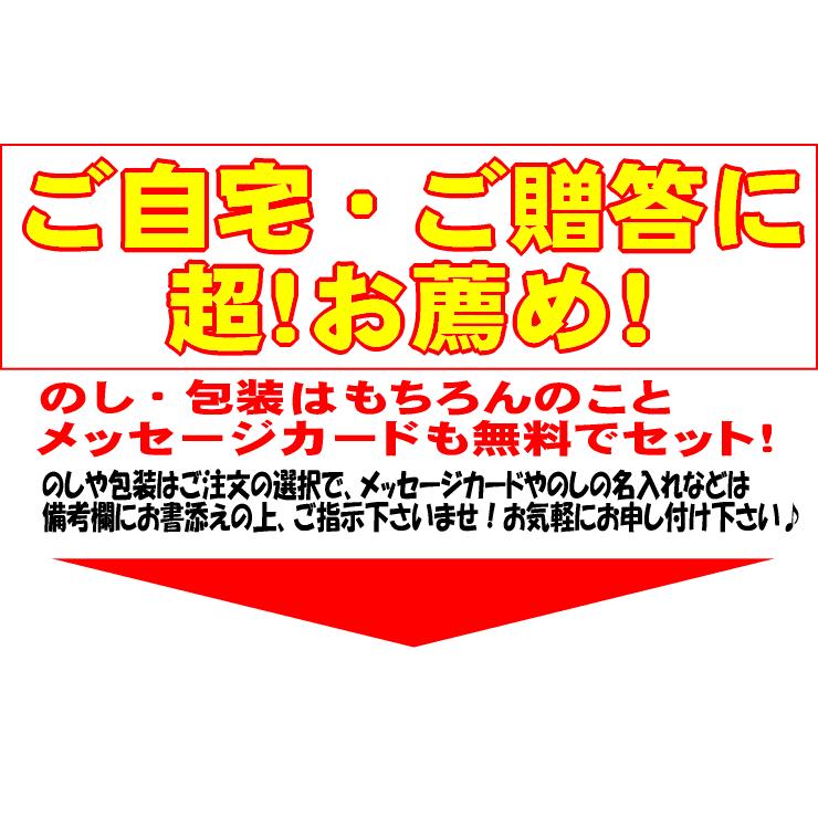 送料無料 超！バラエティー讃岐うどん（10人前） お歳暮 内祝い 贈り物 お返し お見舞い 新築祝い ギフト等におすすめ！