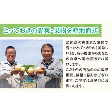 ふるさと納税 名手農園の淡路島特産農園セット 兵庫県淡路市