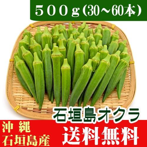 オクラ 生 お試し５００ｇ　石垣島産