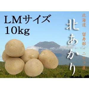 北あかり 10kg  (LMサイズ) 北海道産じゃがいも (ニセコ産ジャガイモきたあかり) 訳ありではありません 送料無料 新ジャガ