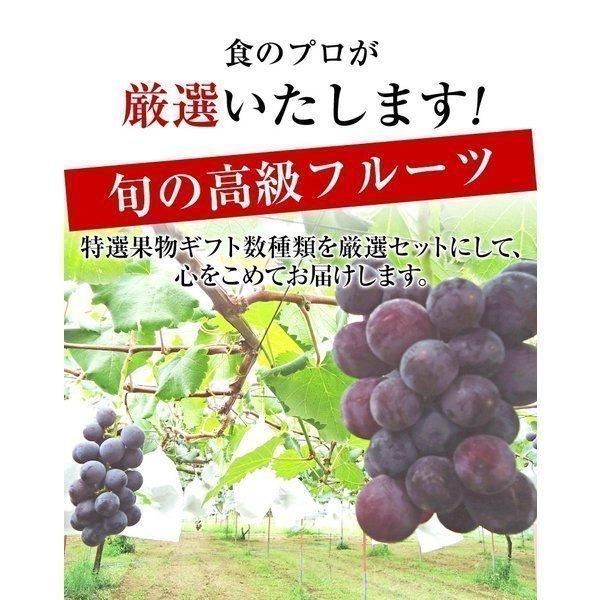 果物ギフト 食の宝石箱 人気商品 フルーツ バスケット 御歳暮 内祝 御祝 御供 プレゼント お返し ゴルフ 景品