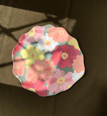 百日草大淺盤系列