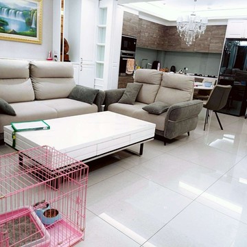 ✨八擴奢華精裝電梯別墅｜新屋齡雙車孝親房✨｜桃園市八德區中山一路