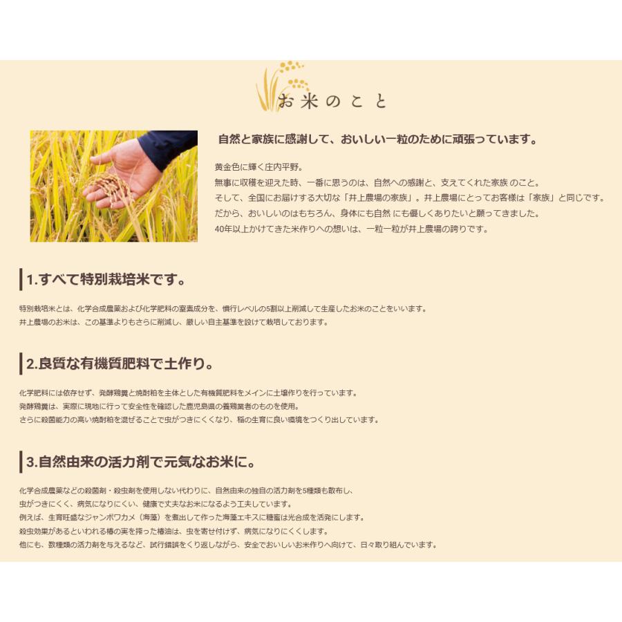 井上農場の特別栽培米 つや姫 10kg お米 ごはん 白米 産直 新鮮 甘み 送料無料