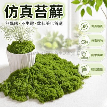 台灣出貨✨ 仿真苔蘚 微景觀造景材料 室內陽台裝飾植物 深綠淺綠雪白系 DIY 佈置 贈噴壺夾子