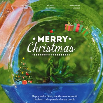 聖誕節🎄小室瓶栽 農改場合作 蕨類植物系列 爆炸頭山蘇 自然風3號瓶多 自然風 辦公室療癒小物  風水植物盆栽 植物有保固好照顧 桌上擺件