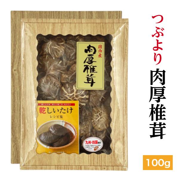 干し椎茸 国産 つぶより 肉厚椎茸 100g 箱入り ギフト お歳暮 お中元 内祝い 香典返し しいたけ 干ししいたけ