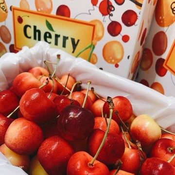 【帕查嬤嬤】🇨🇱智利✨Skylar Rae✨ 🍓🍓草莓 白櫻桃🍒🍒｜智利草莓白櫻桃禮盒