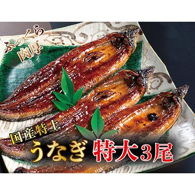 ふるさと納税 国産！特上うなぎのかば焼き 約250g × 3尾 福井県越前市