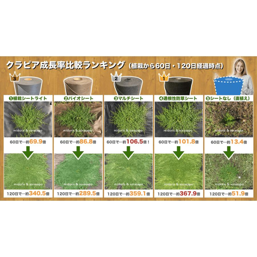 50平米分セット 二層構造防草シート クラピア 植栽用 2m幅 25m巻 J字型ピン 二重構造の高耐久性10年