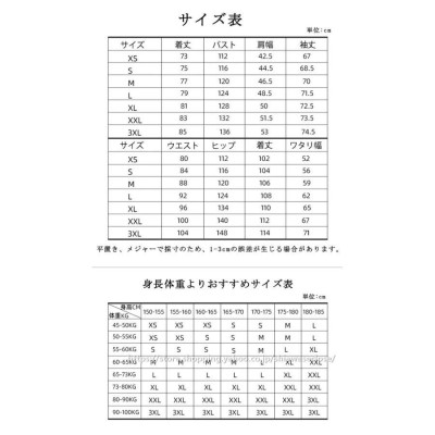 スノーボードウェア 上下 スキーウェア メンズ レディース スキー 上下