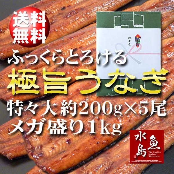 お中元 御中元 炭火焼 鰻うなぎ蒲焼き ふっくらとろける極旨ウナギ 約30cm超特大 約200g×5尾 メガ盛り1kg