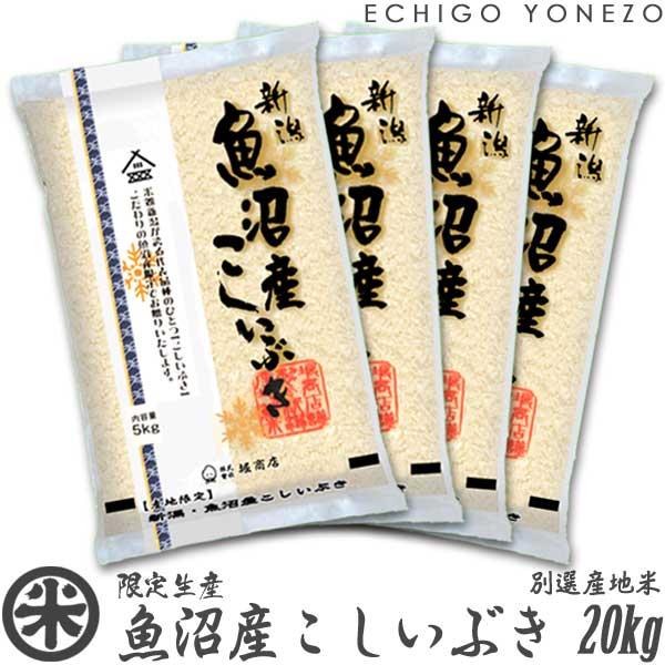 [新潟米 令和4年産] 魚沼産こしいぶき 20kg (5kg×4袋) 別選産地米 新潟米 魚沼米 お米 白米 こしひかり 送料無料 ギフト対応