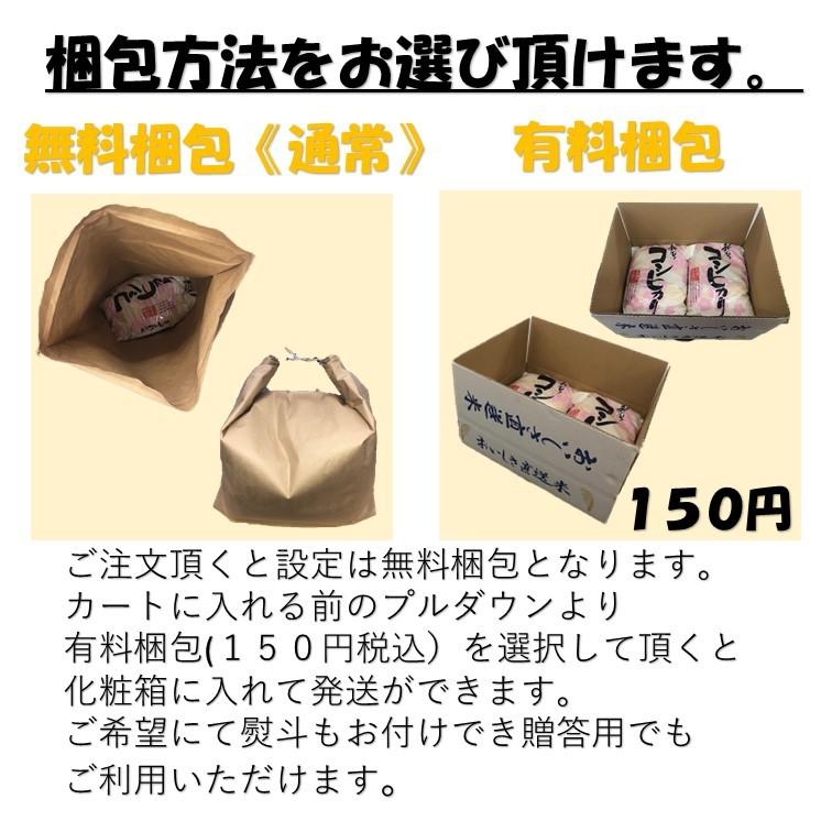 新米 令和5年産 新潟県産コシヒカリ10kg  (5kg×２袋）うまい米 米専門 みのりや 白米 ポイント消化 送料無料