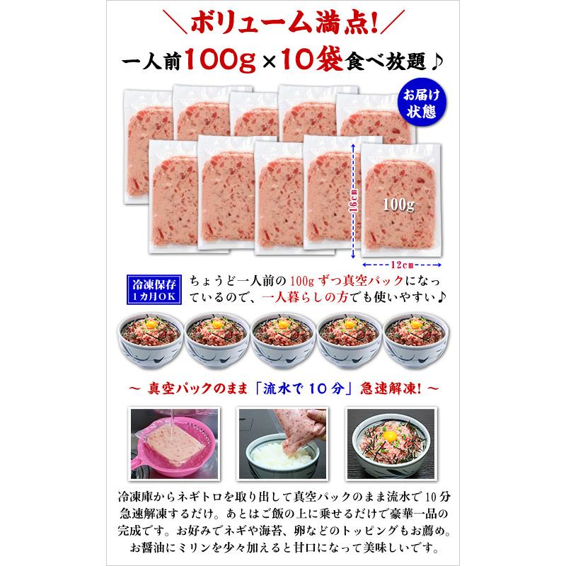 ねぎとろ 小分け とろける ネギトロ 天然 まぐろ 1kg（一人前100g×10袋入り） 個包装 ギフト マグロ 食品