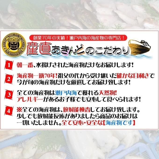 瀬戸内海産　海産物の詰め合わせ3人前8品セット　魚介類