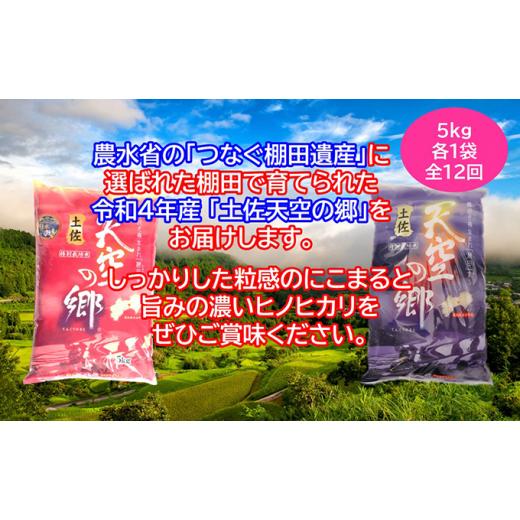 ふるさと納税 高知県 本山町 ★令和5年産★農林水産省の「つなぐ棚田遺産」に選ばれた棚田で育てられた 棚田米 土佐天空の郷 5kg食べくらべセット定期便 毎月…