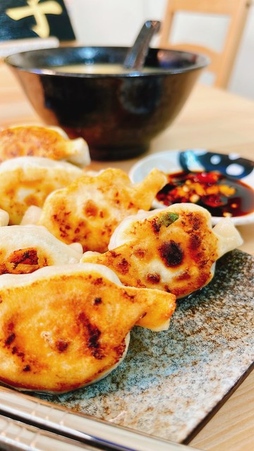 【免運組】【冬季限定】茴香鮮肉水餃