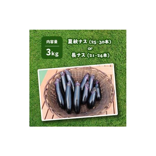 ふるさと納税 栃木県 真岡市 旬を味わうナス 約3kg