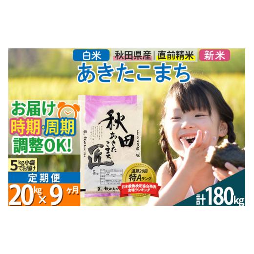 ふるさと納税 秋田県 仙北市 ＜新米＞ 《定期便9ヶ月》秋田県産 あきたこまち 20kg (5kg×4袋)×9回 令和5年産 時期選べる20キロ お米