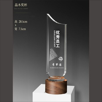 🚀台灣出貨🚀創意玻璃獎盃定製刻字員工激勵禮品團隊榮譽頒獎紀念品