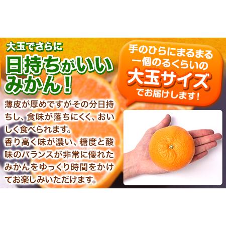 ふるさと納税 みかん 訳あり 大玉 ミカン 10kg 10キロ 熊本 ちょっと 訳あり 傷 5L〜3Lサイズ 約10kg たっぷり 熊本県産 熊本県 期間限定 フルー.. 熊本県長洲町