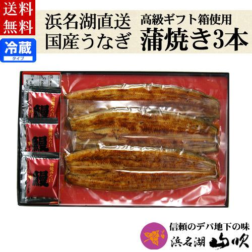 お歳暮 うなぎ蒲焼き ギフト うなぎ真空長蒲焼3本  プレミアムギフト 送料無料