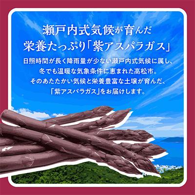 ふるさと納税 高松市 ご家庭用　紫アスパラガス(細物・サイズ混合)　約900g