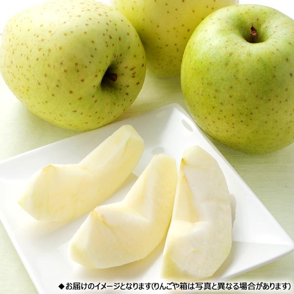 お歳暮 山形県産 りんご サンふじ王林 詰め合わせ 5kg (秀品 13玉〜20玉入り) 旬 リンゴ ギフト 贈り物 贈答 プレゼント のし 果物 フルーツ お取り寄せ