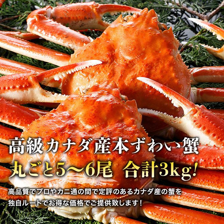 かに 蟹 姿ずわいがに 3kg セット (5〜6尾) 優良配送 かにみそ ズワイガニ カニ グルメ 食品 お歳暮 ギフト 10%クーポン