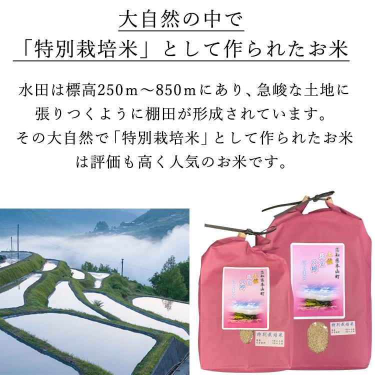 新米 米 お米 5kg 土佐 天空の郷 にこまる 特別栽培米 高知県 本山町 金賞受賞 玄米 5キロ お米マイスター 棚田 米5kg 精米 分づき