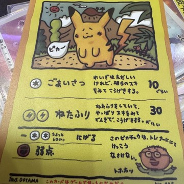 日版ptcg寶可夢大山皮卡丘高工藝自制 diy收藏代餐看畫