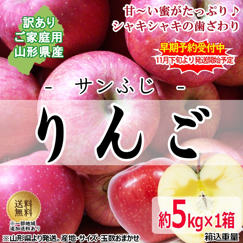 山形県産 リンゴ サンふじ 玉数 サイズ おまかせ 約5kg （訳ありご家庭用） 産地直送