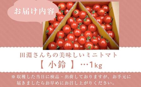 田淵さんちの美味しい ミニトマト 小鈴（1.0kg）| 野菜 トマト ミニトマト おいしい ミニトマト 新鮮 トマト 南大隅町産 トマト
