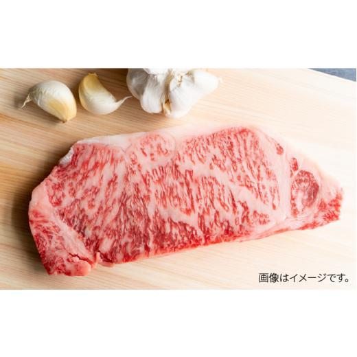 ふるさと納税 福岡県 那珂川市 博多和牛 サーロイン ステーキセット 500g（250g×2枚）＜株式会社MEAT PLUS＞那珂川市 [GBW002]