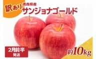訳あり りんご10kg 程度 10月～3月サンジョナゴールド 青森|不揃いリンゴ 10月 11月 12月 1月 2月 3月