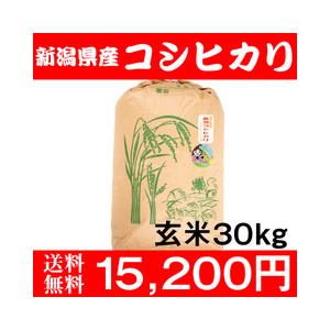 お米 30kg 玄米 送料無料 新潟県糸魚川産 農家直送 コシヒカリ 新米 令和5年度産