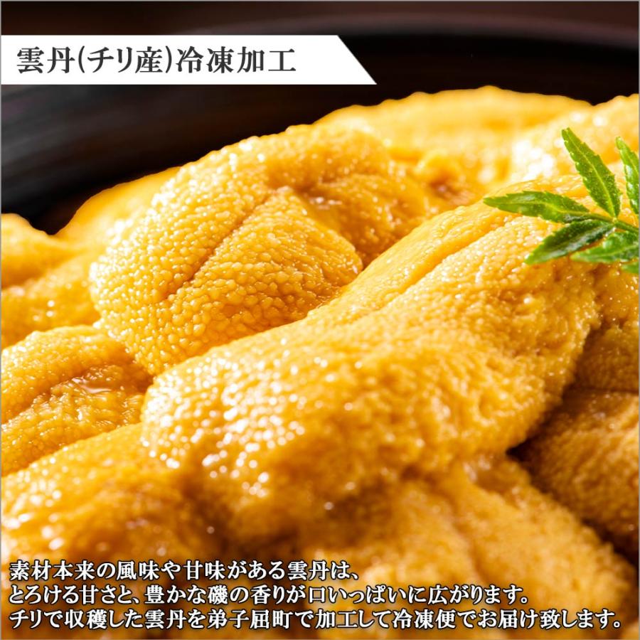 ふるさと納税 弟子屈町 ウニ 100g 鱒いくら醤油漬け 100g 2種 海鮮丼 北海道 弟子屈町 1958